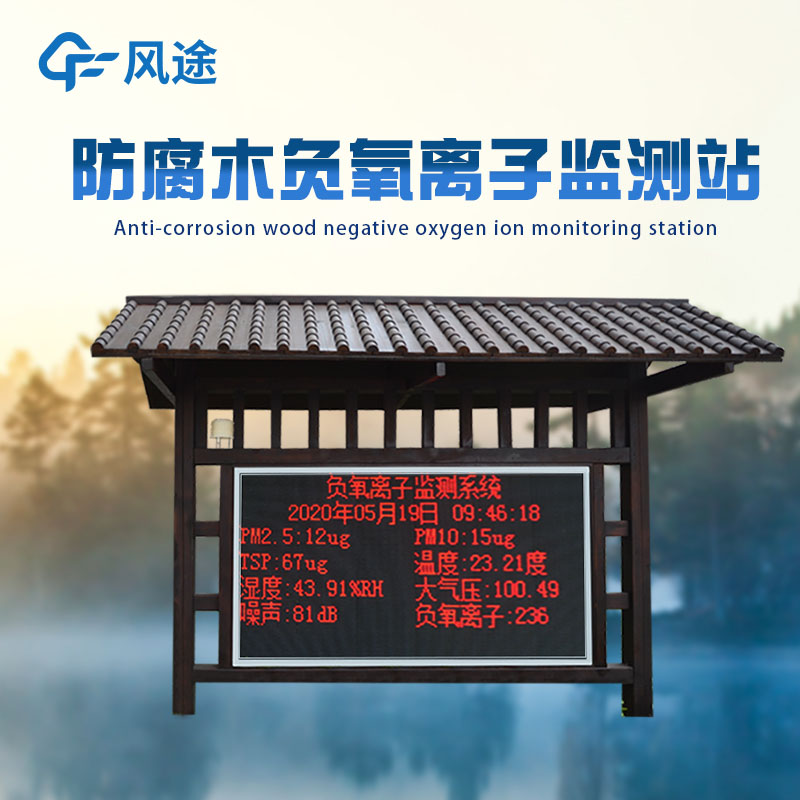 Anion Online Detection System for Tourist Areas